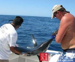 娱乐吃瓜钓鱼视频大全下载